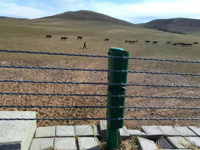 安丘河道景觀(guān)繩索護欄值得信賴(lài)